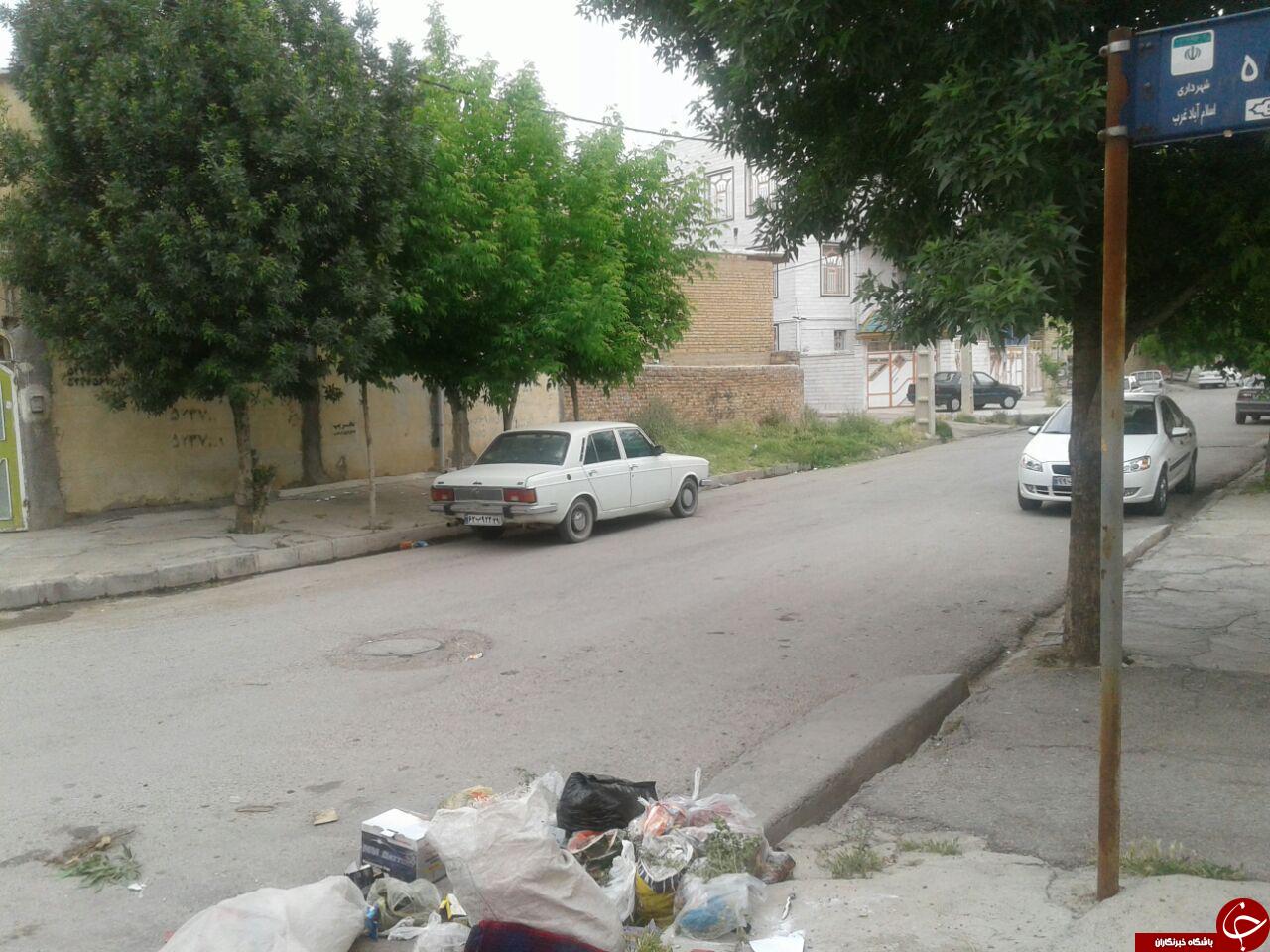 زباله ها میهمان محله فرهنگیان + تصاویر