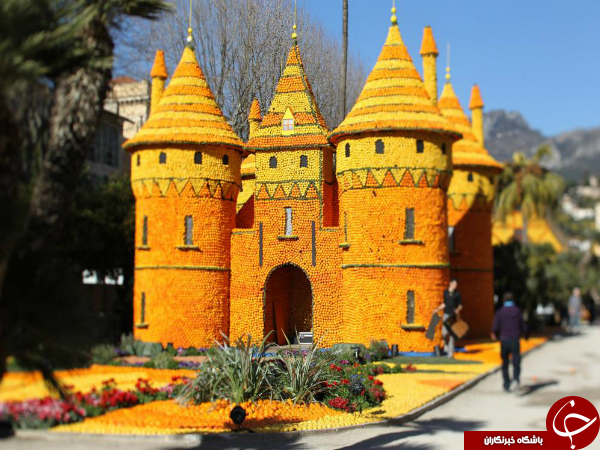 سازه هایی زیبا ازجنس مرکبات+تصاویر