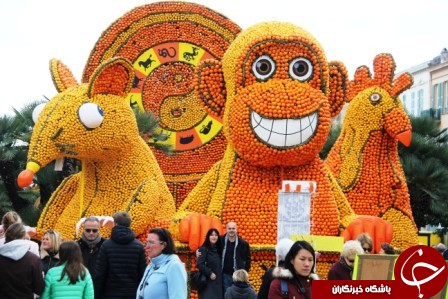 سازه هایی زیبا ازجنس مرکبات+تصاویر