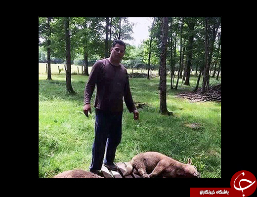 تنها نجات یافته حادثه هواپیمای مصری +عکس