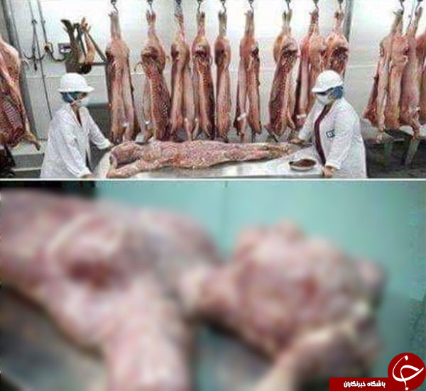 فروش گوشت مردگان در فروشگاه&zwnj;های آفریقا + تصاویر