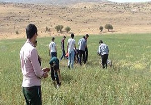 اجرای " طرح مزرعه تابستانی من "برای دانش آموزان