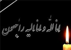 پیام تسلیت رئیس جمهوری به درگذشت والده شهیدان نعمت‌زاده