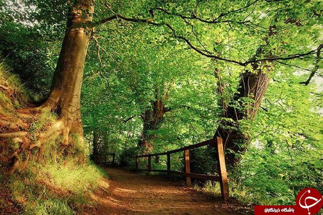 عکس هایی که بوی زندگی می&zwnj;دهند + 10عکس