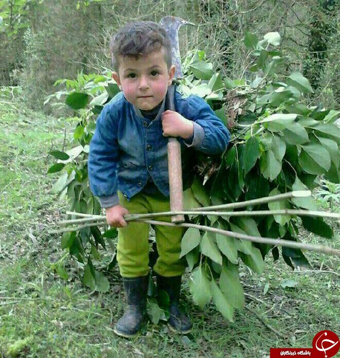عکس هایی که بوی زندگی می&zwnj;دهند + 10عکس