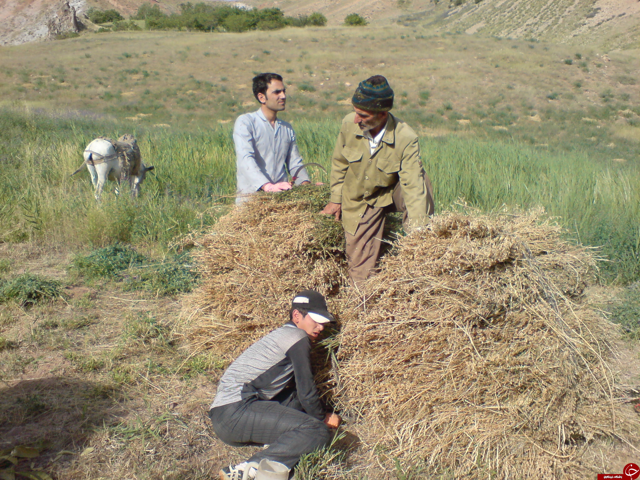 عکس هایی که بوی زندگی می&zwnj;دهند + 10عکس
