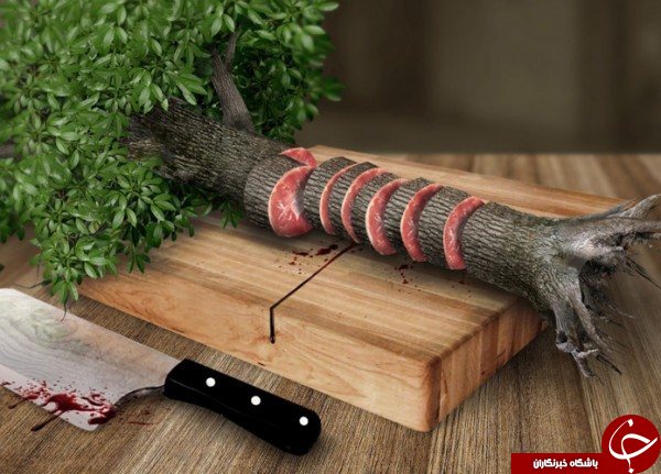 وقتی خلاقیت چاشنی عکاسی می شود(قست بیست و دوم)