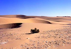 رشد ده درصدی بیابان زایی در گناباد بر اثر خشکسالی