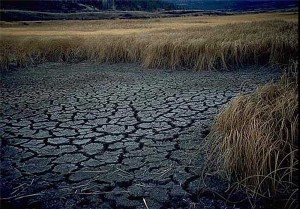 محدودیت کشت در حوضه رودخانه های جراحی و زهره