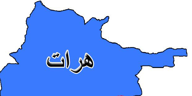 ۹۵ آخرین سال فعالیت طالبان در افغانستان است