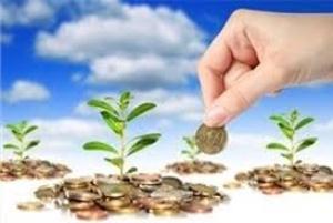 شناسایی 20 فرصت سرمایه گذاری در بخش کشاورزی آذربایجان غربی