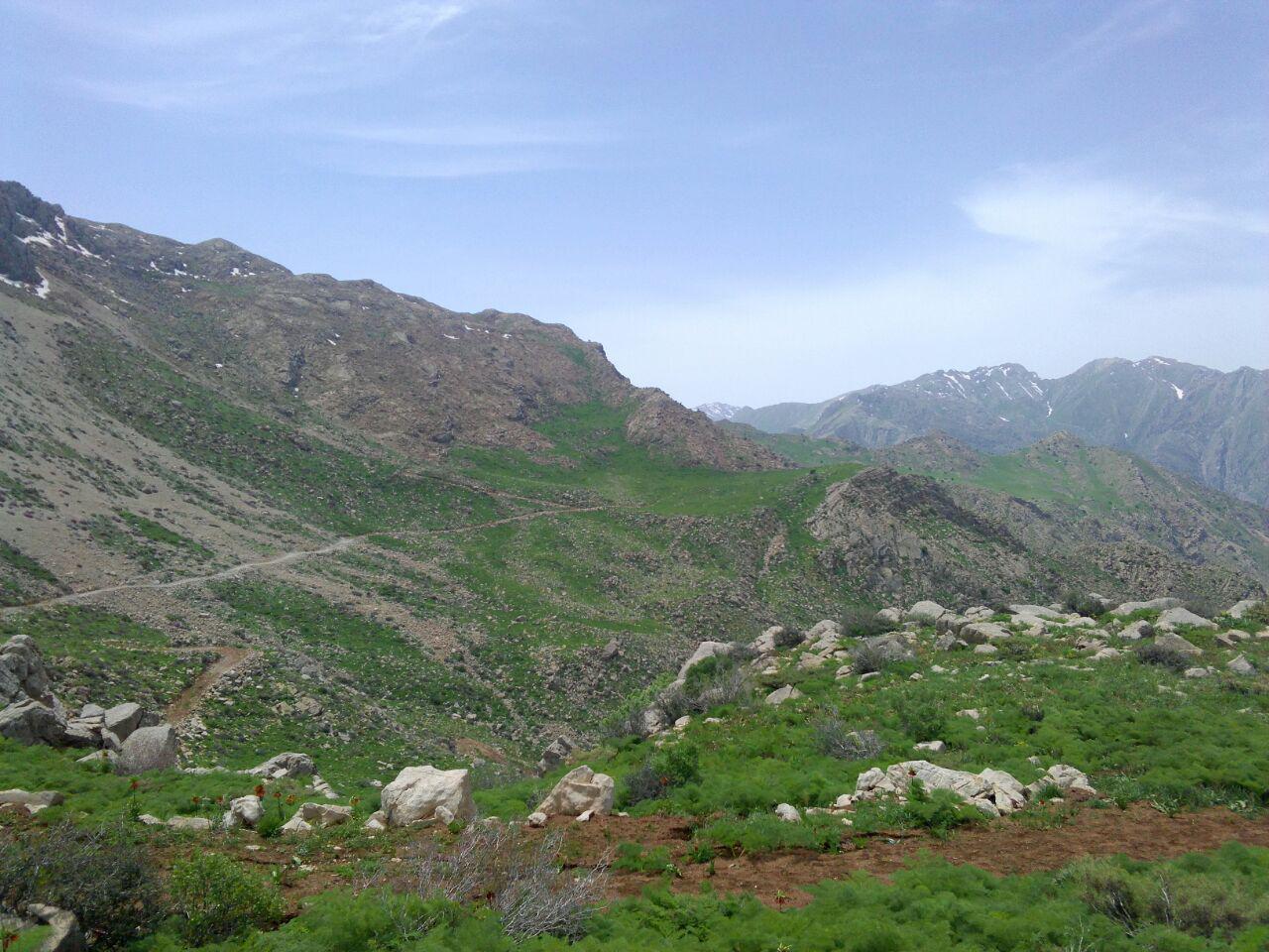 طبیعت زبیای کوهسالان + تصاویر