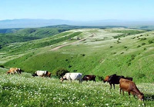 60 درصد مساحت استان اردبیل اراضی ملی است