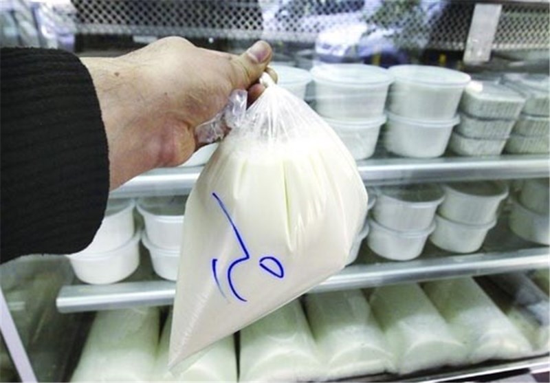 خریداری بیش از250تن شیر در خراسان رضوی