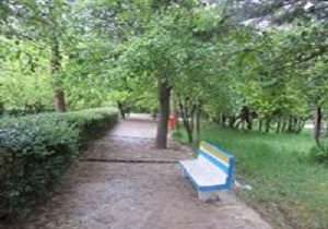طبیعت زیبای بهاری شهر گیوی + تصویر