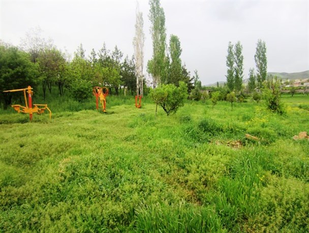 طبیعت زیبای بهاری شهر گیوی + تصویر
