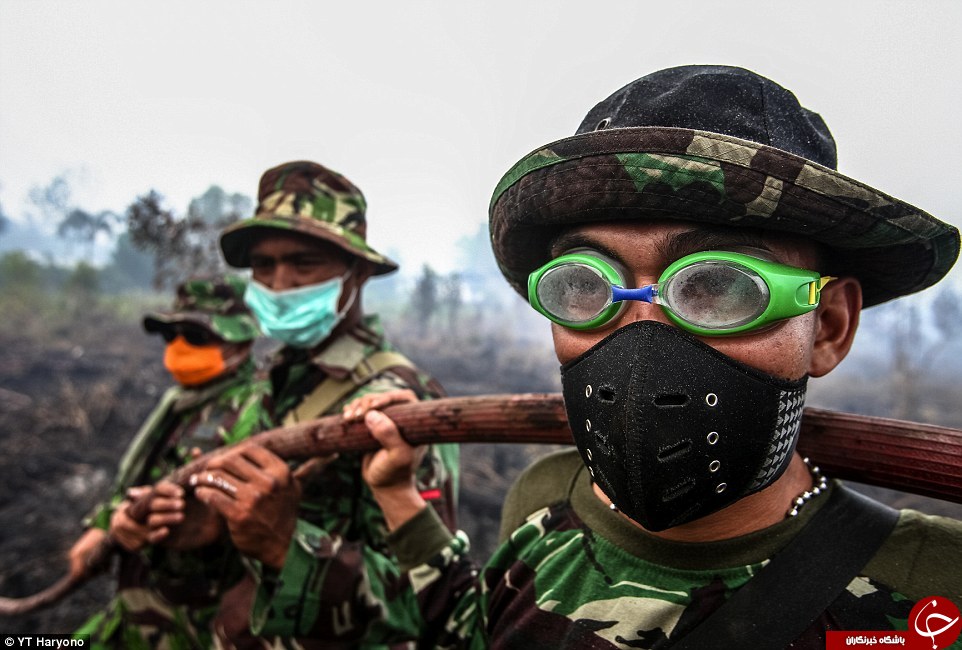 بهترین عکس های سال 2016