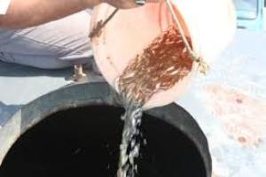 دریای خزر مسکن مهر 40 میلیون بچه ماهی استخوانی گلستان