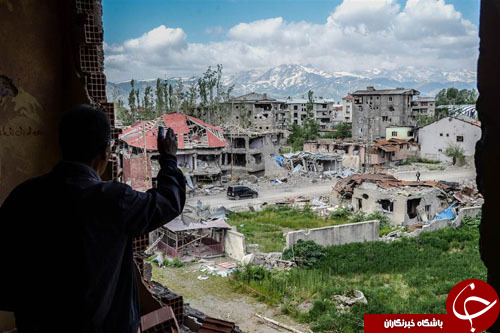 از نبرد مرگبار سه مار سمی تا دیدار پاپ فرانسیس با جرج کلونی