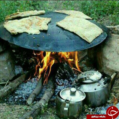 عکس هایی که بوی زندگی می&zwnj;دهند