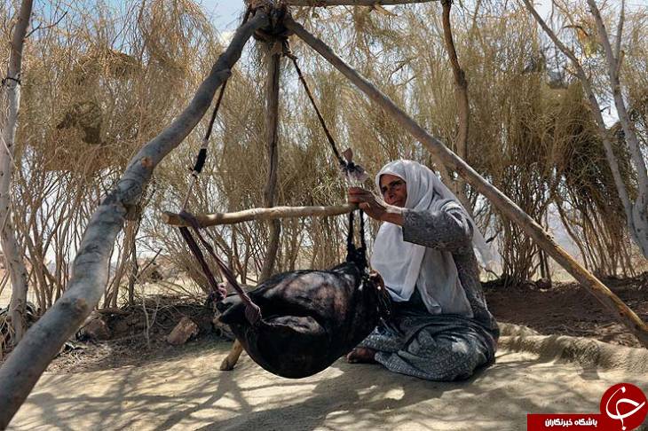 عکس هایی که بوی زندگی می&zwnj;دهند