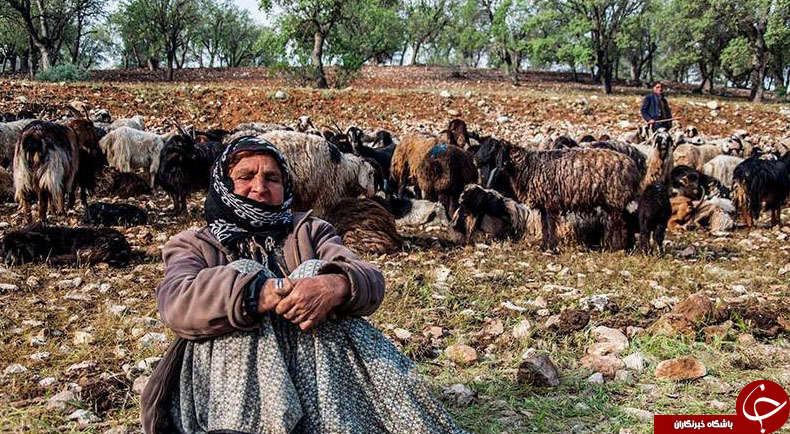 عکس هایی که بوی زندگی می&zwnj;دهند