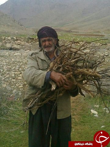 عکس هایی که بوی زندگی می&zwnj;دهند