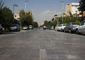 شورا را سیاسی کردن به نفع شهروندان نیست