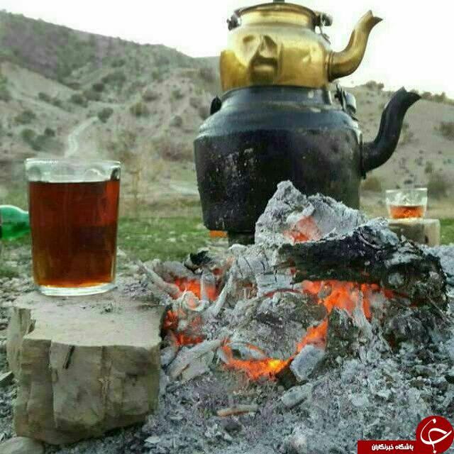 عکس هایی که بوی زندگی می دهد