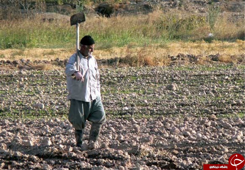عکس هایی که بوی زندگی می دهد