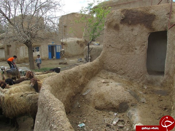 عکس هایی که بوی زندگی می دهد