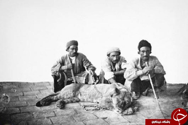 تصاویر زیرخاکی و گمشده در تاریخ + 10عکس