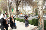 سین جیمنقاشی روی درختان