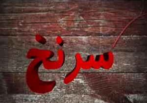 تجارتی پنهان اما ازجنس قاچاق کالا + فیلم