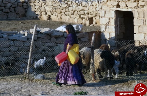 عکس هایی که بوی زندگی می&zwnj;دهند