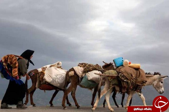 عکس هایی که بوی زندگی می&zwnj;دهند