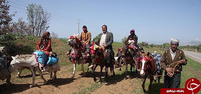 عکس هایی که بوی زندگی می&zwnj;دهند