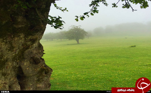 بهشتی رویایی در چند قدمی تهران + تصاویر