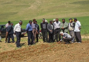 برگزاری كارگاه آموزشی خاكورزی حفاظتی