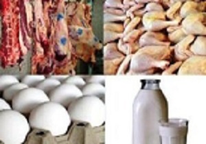 افزایش تولیدات دامی در برنامه پنج ساله