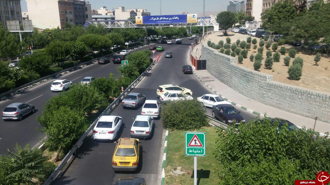 عبور خلاف جهت خودروها در زیر پل سئول + تصاویر
