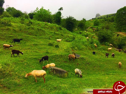 عکس/ بهشتی رویایی در چند قدمی تهران