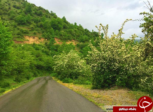 عکس/ بهشتی رویایی در چند قدمی تهران