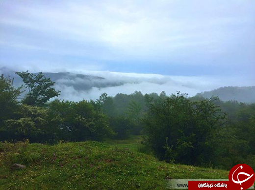 عکس/ بهشتی رویایی در چند قدمی تهران