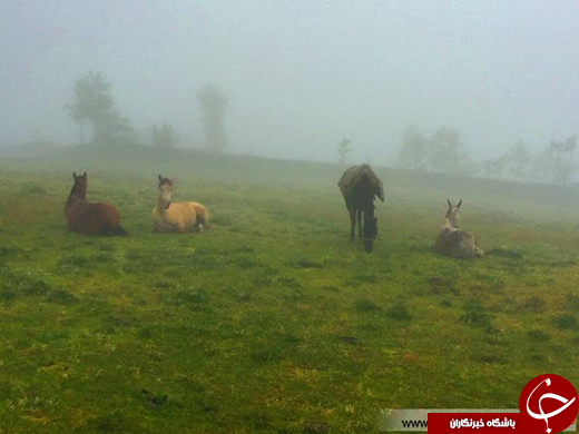 عکس/ بهشتی رویایی در چند قدمی تهران