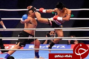 بوکسورهای حرفه ای در یک قدمی المپیک