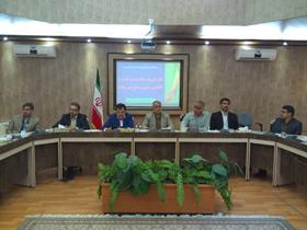 مسئول روزبازارهای شهرداری  بیرجند : ساقط کردن مردم از کار تصمیم نادرستی است