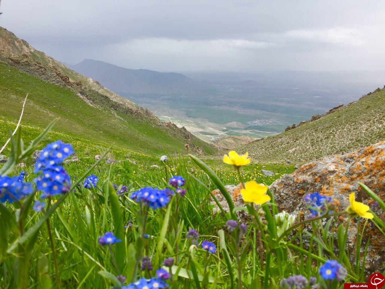 طبیعت بکر و زیبای روستای ترکان + تصاویر
