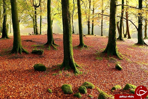 23عکس دیدنی از اسکاتلند