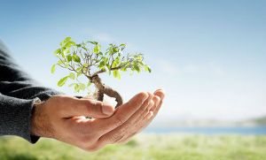 اهمیت سرمایه های انسانی در حوزه محیط زیست